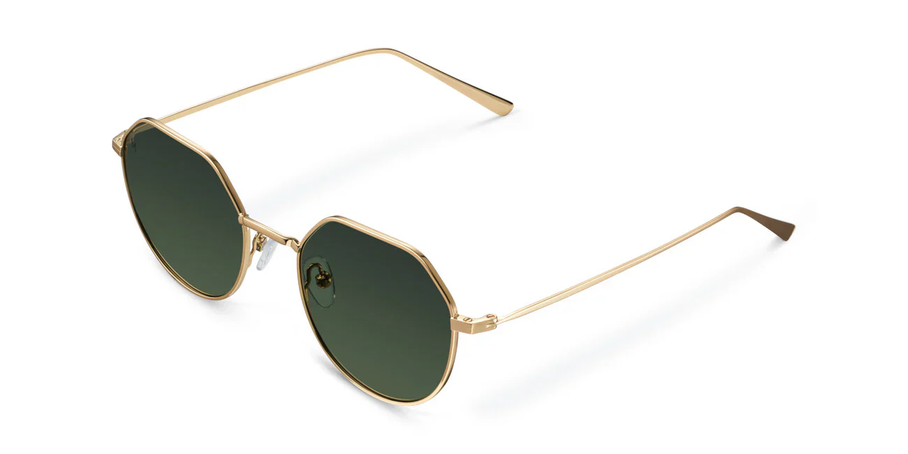 Eclipse Gold Carbon Polarized Sunglasses - Image 6